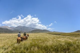 Se estiver começando a ter contato com cavalos, essas dicas são para você:
