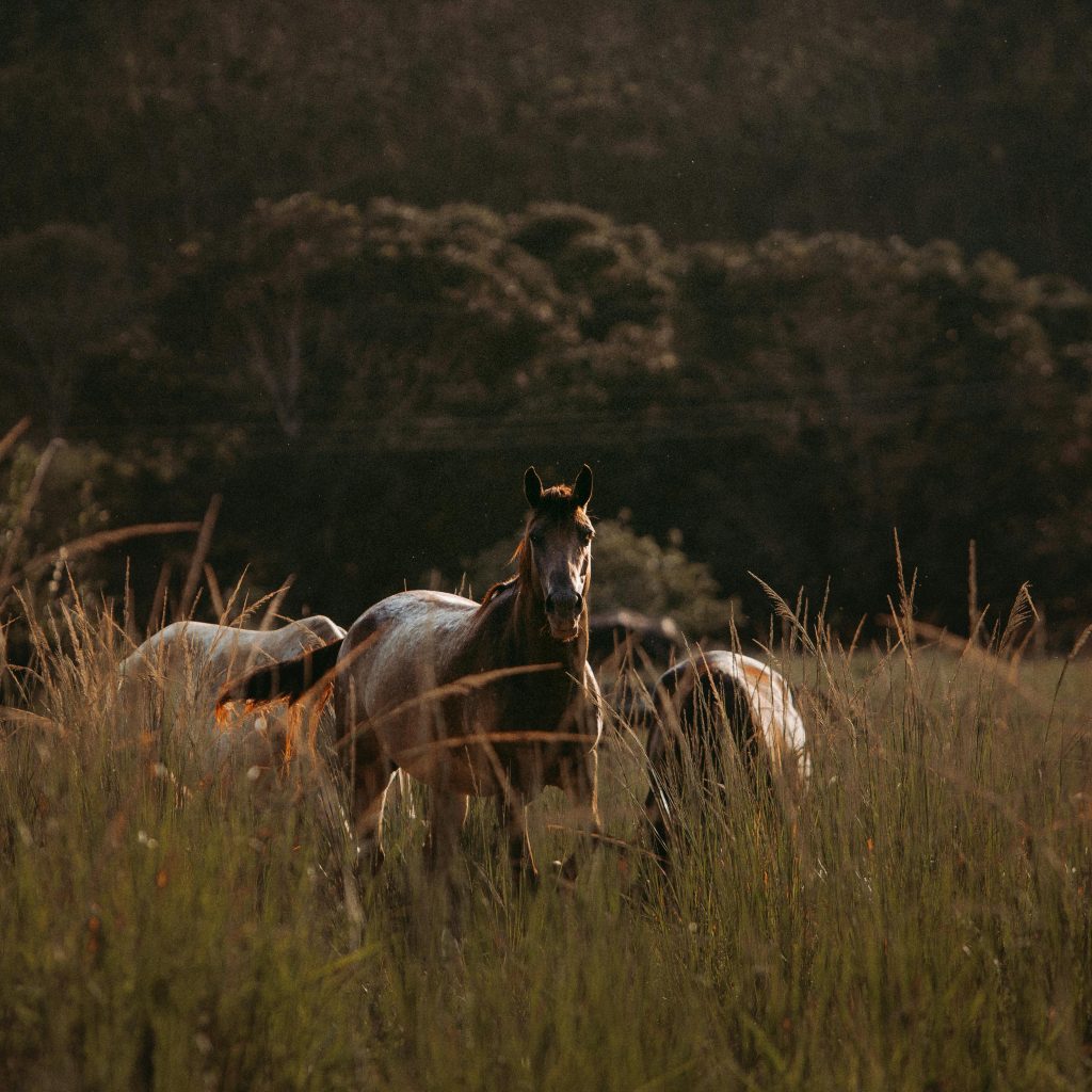 O cuidado com o meio ambiente é responsabilidade de todos