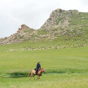 Produtora de queijo participa de cavalgada de 1.000 quilômetros a galope pela estepe mongol