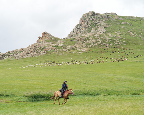 Produtora de queijo participa de cavalgada de 1.000 quilômetros a galope pela estepe mongol