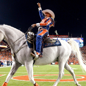 Você sabia que um cavalo é o mascote do time de futebol americano Denver Broncos?