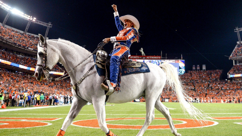 Você sabia que um cavalo é o mascote do time de futebol americano Denver Broncos?