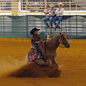 2º Festival ABQM Jovem consolida crescimento e reforça protagonismo da nova geração do Quarto de Milha