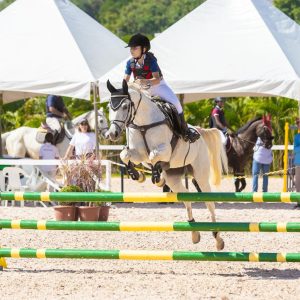 Caraiva Ventania Doc comprova a força do Quarto de Milha e vence o Ranking 2025 do hipismo em Campinas