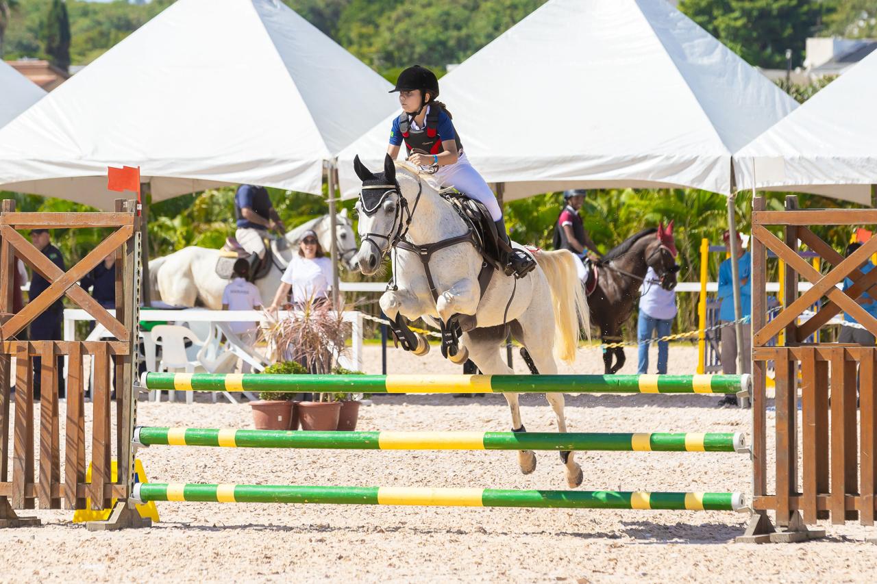 Caraiva Ventania Doc comprova a força do Quarto de Milha e vence o Ranking 2025 do hipismo em Campinas