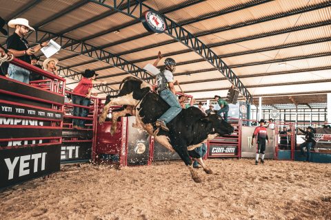 PBR Team Series realiza seletiva no Brasil para contratar jovens talentos do esporte