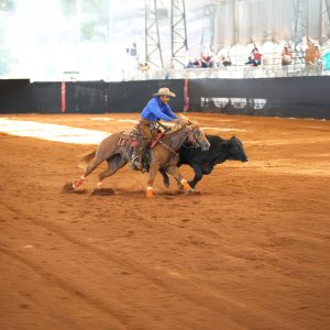 Programação do 35º Congresso Brasileiro de Conformação & Trabalho é divulgada