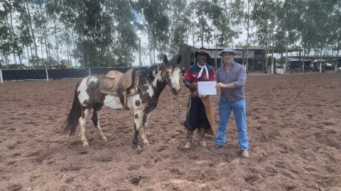 Raça Crioula avança no Nordeste e realiza primeiro evento oficial no Piauí