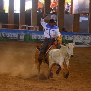 ABQM articula revisão de normas e fortalece o Laço Comprido Técnico no país