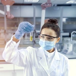 Células-tronco impulsionam nova fase da medicina regenerativa em equinos