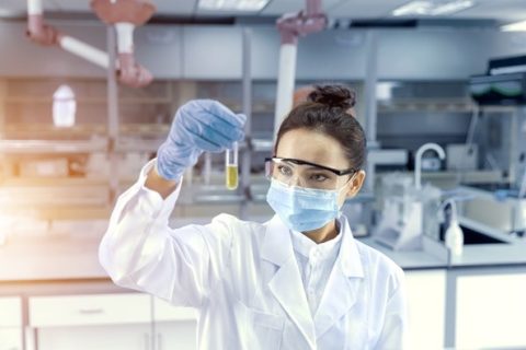 Células-tronco impulsionam nova fase da medicina regenerativa em equinos