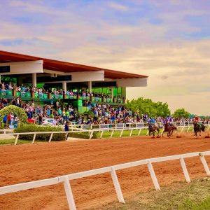 Curso sobre fisiologia do exercício para cavalos atletas terá apoio institucional da ABQM