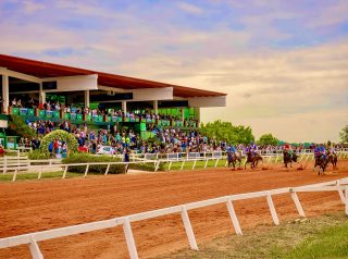 Curso sobre fisiologia do exercício para cavalos atletas terá apoio institucional da ABQM