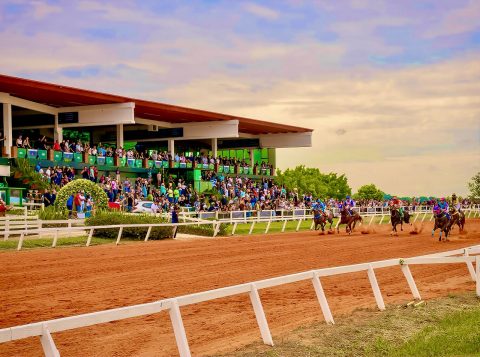 Curso sobre fisiologia do exercício para cavalos atletas terá apoio institucional da ABQM