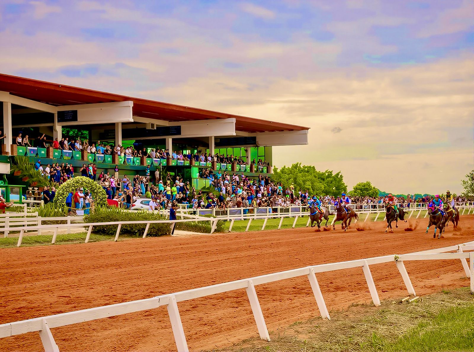 Curso sobre fisiologia do exercício para cavalos atletas terá apoio institucional da ABQM