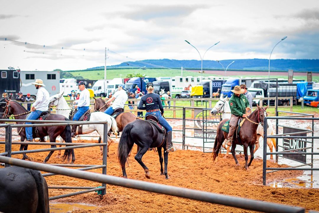 Exposição Brasileira do Criador terá provas esportivas e Ranch Sorting na programação
