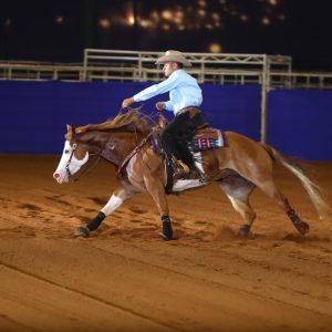 Inscrições abertas para o 35º Congresso Brasileiro do Quarto de Milha