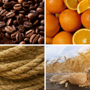 Mapa publica preços mínimos para café, laranja, sisal, trigo em grãos e semente de trigo da safra 2026/2027