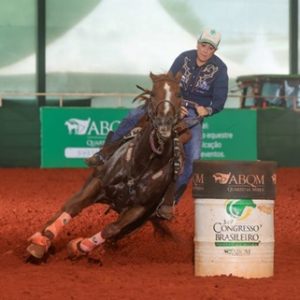 Mulheres representam mais da metade das lideranças da Vetnil