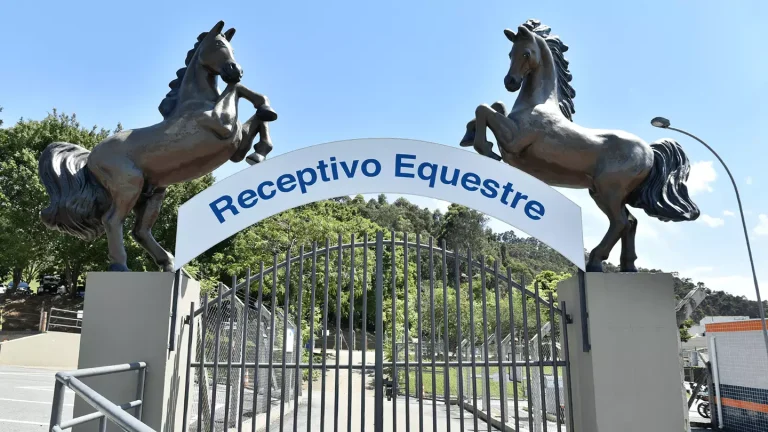 Romarias a cavalo ganham estrutura especial no Santuário Nacional de Aparecida