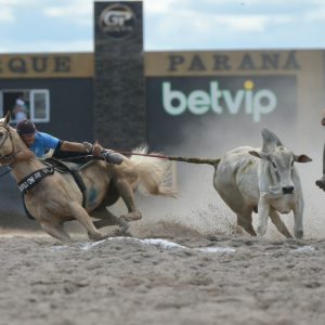 STF confirma constitucionalidade da PEC da Vaquejada e reforça segurança jurídica para o esporte equestre