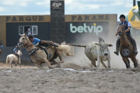 STF confirma constitucionalidade da PEC da Vaquejada e reforça segurança jurídica para o esporte equestre