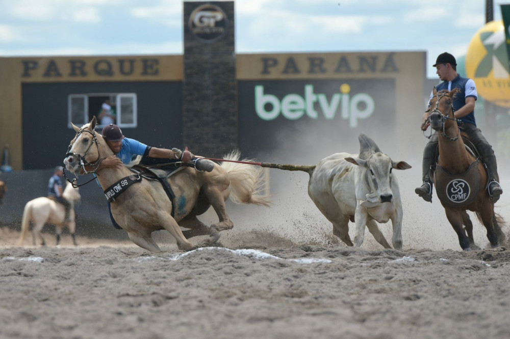 STF confirma constitucionalidade da PEC da Vaquejada e reforça segurança jurídica para o esporte equestre