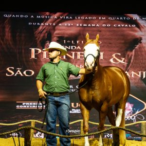 Semana do Cavalo movimenta mais de R$ 25,5 milhões em leilões e reforça força do mercado equestre em Mato Grosso