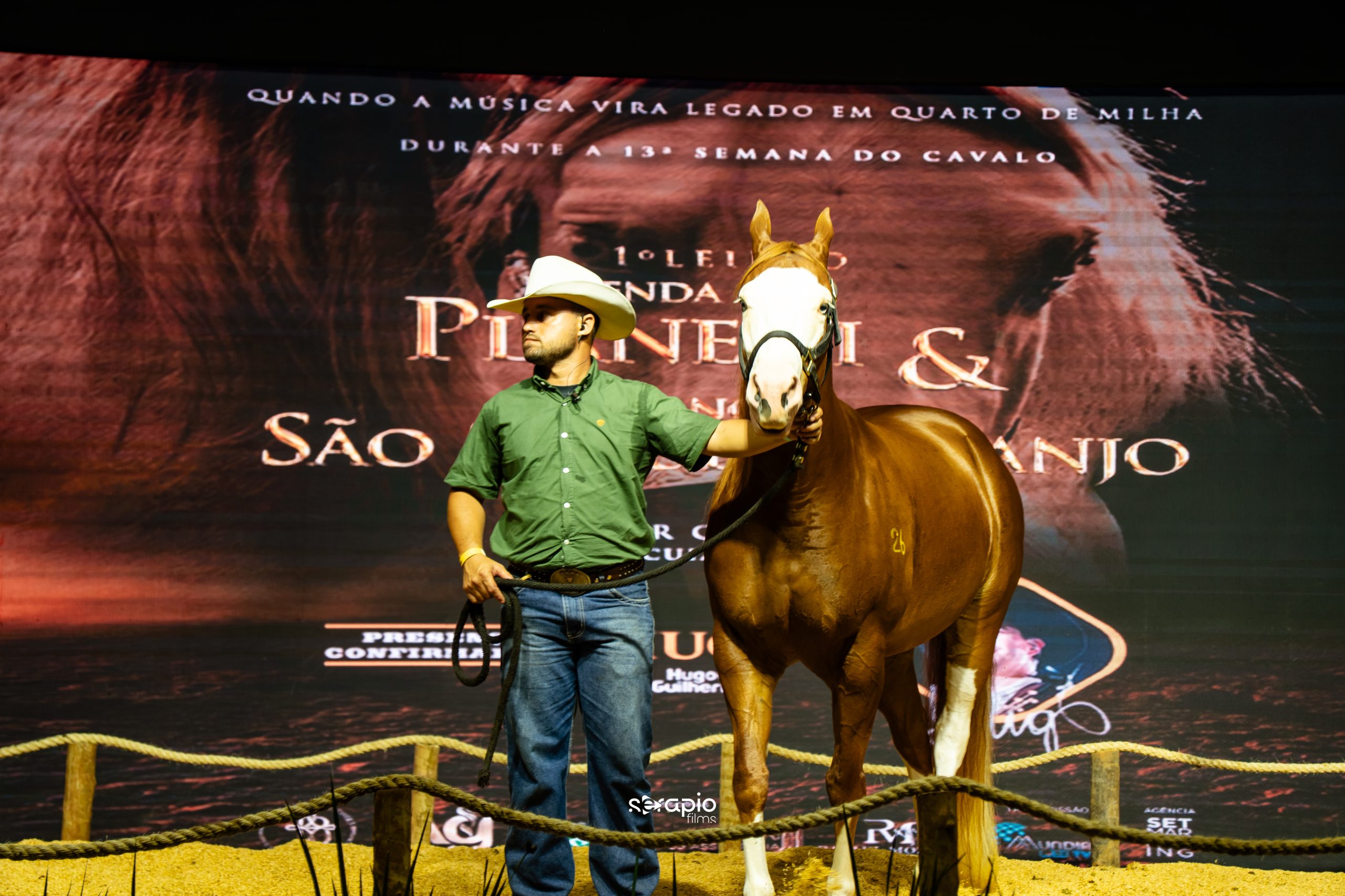 Semana do Cavalo movimenta mais de R$ 25,5 milhões em leilões e reforça força do mercado equestre em Mato Grosso