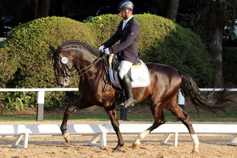 44ª Expo Internacional do Puro Sangue Lusitano entra em contagem regressiva em São Paulo