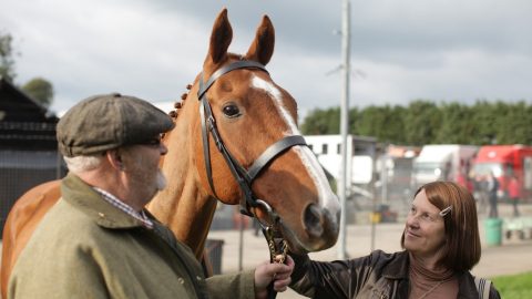 8 documentários sobre cavalos para assistir no feriado e se inspirar