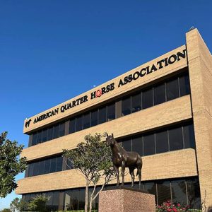 ABQM oficializa premiação inédita dos destaques AQHA no Brasil e reforça integração internacional da raça