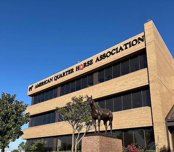 ABQM oficializa premiação inédita dos destaques AQHA no Brasil e reforça integração internacional da raça