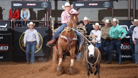 Breakaway ganha protagonismo em um dos maiores palcos do mundo equestre