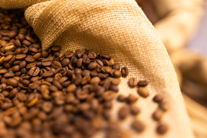 CNA debate renovação de linha de crédito para cafezais danificados