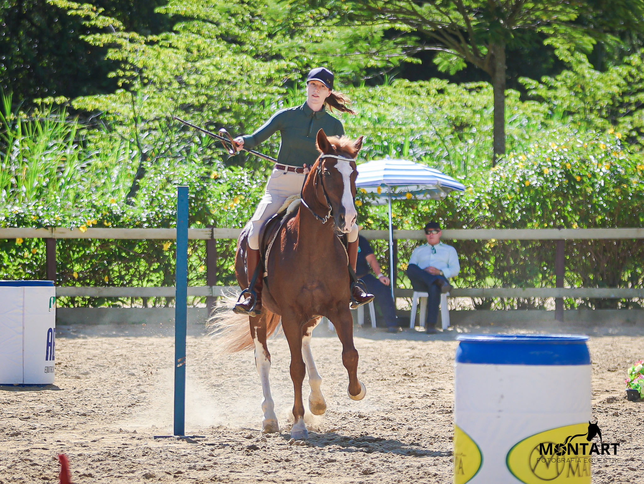 Cavalo Crioulo reforça versatilidade e se destaca na Equitação de Trabalho
