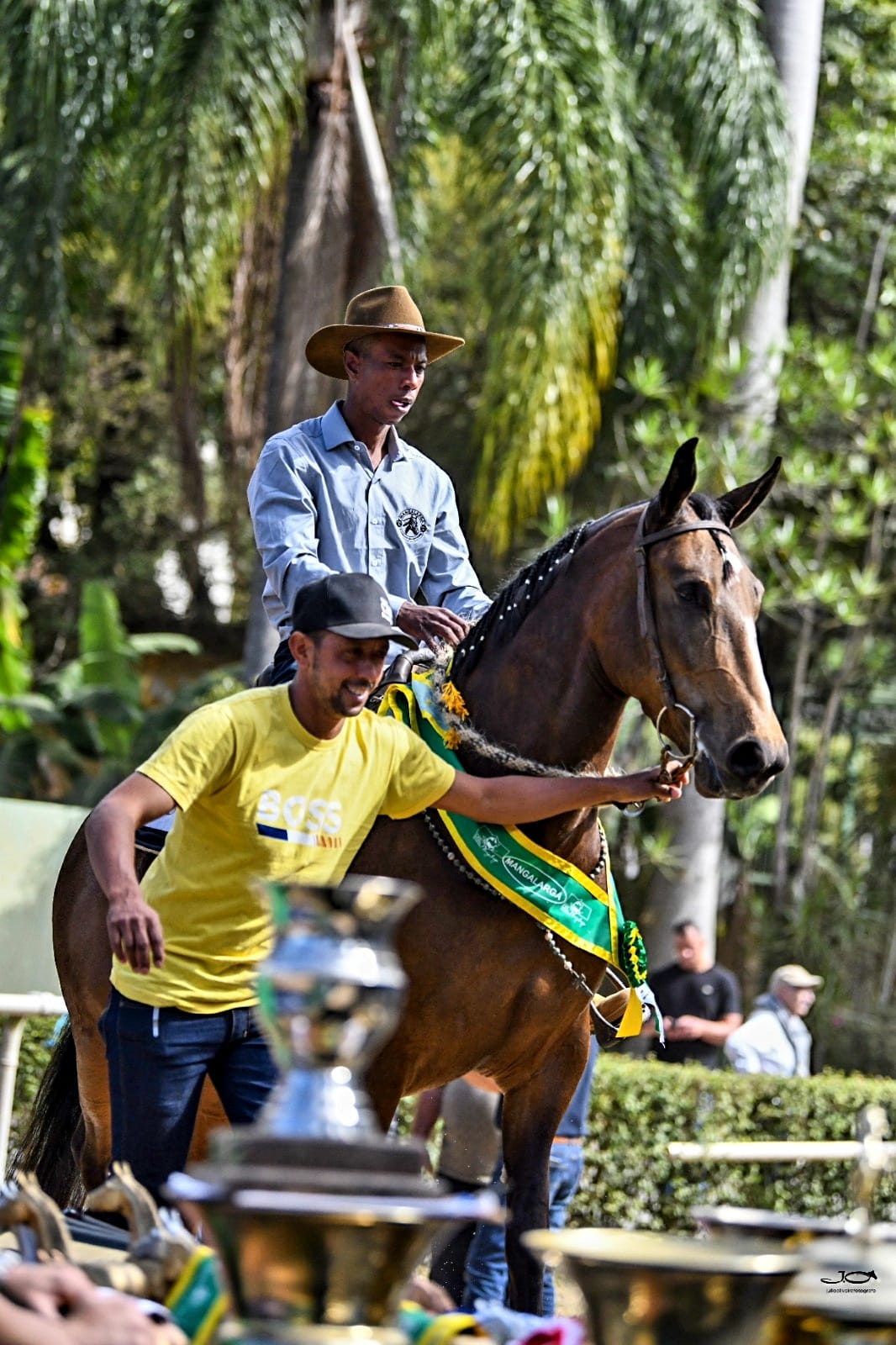 Cavalo Mangalarga estreia na Agrishow