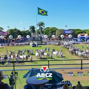 ExpoZebu 2026 começa neste sábado com expectativa de grande movimentação em Uberaba