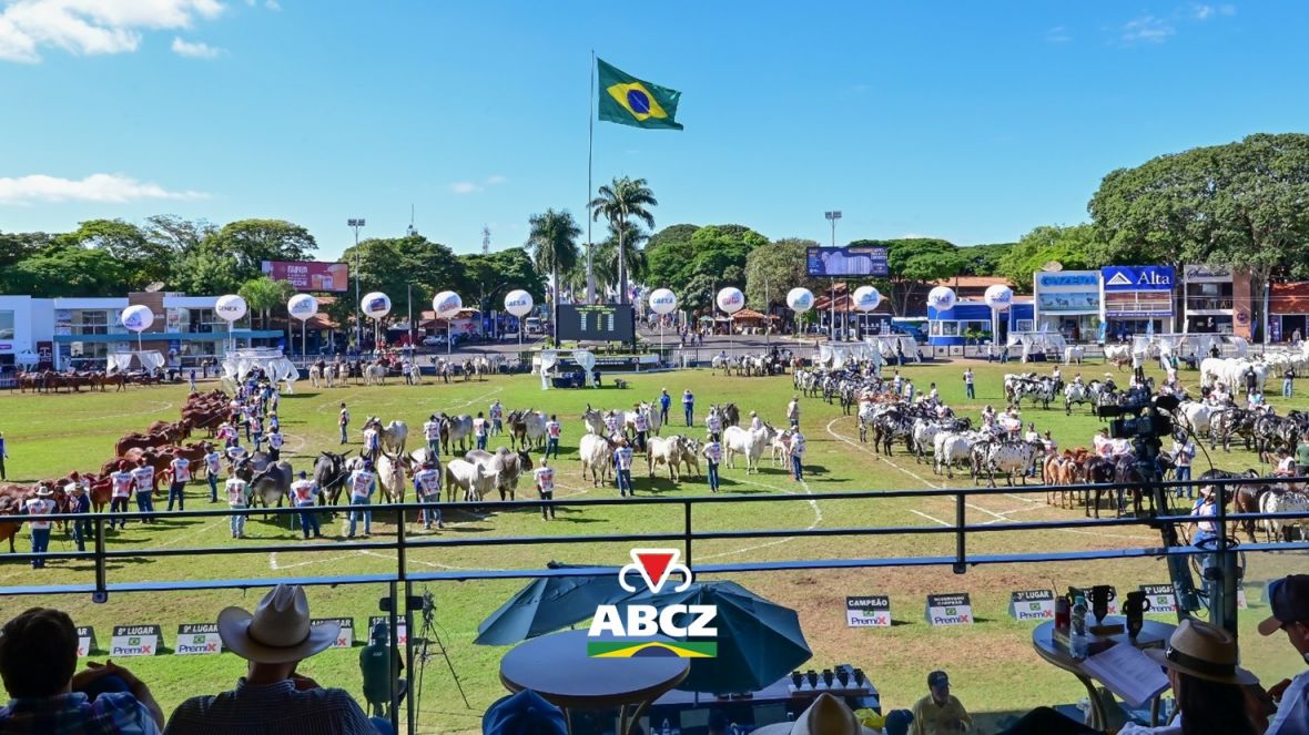 ExpoZebu 2026 começa neste sábado com expectativa de grande movimentação em Uberaba