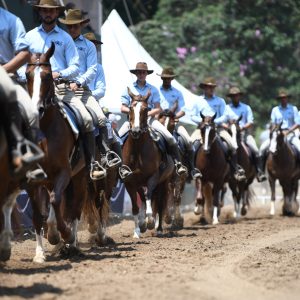 Exposição Regional Mangalarga de Mococa abre calendário de abril com tradição e destaque para a raça em São Paulo