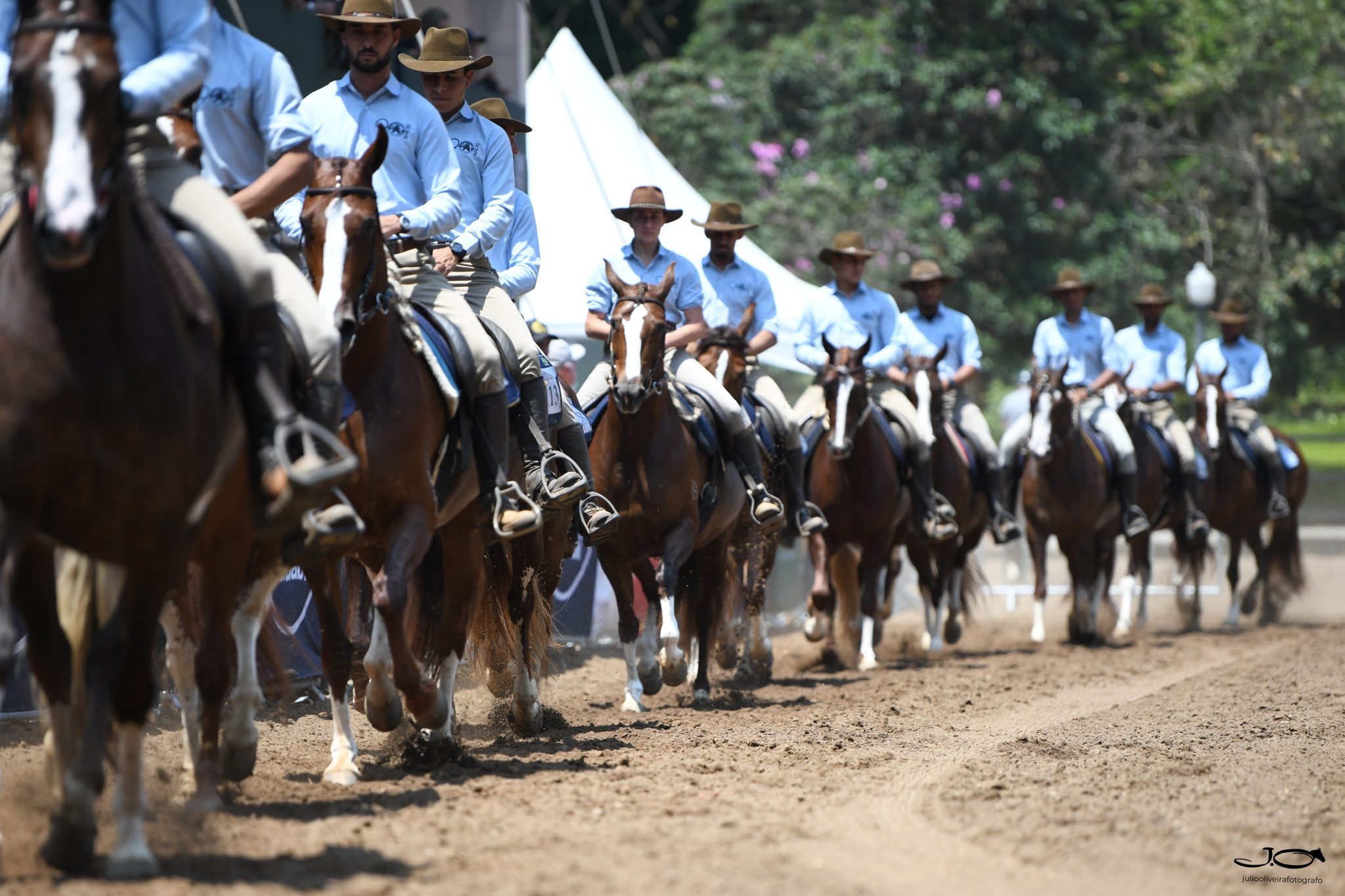 Exposição Regional Mangalarga de Mococa abre calendário de abril com tradição e destaque para a raça em São Paulo