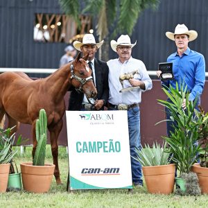 Jupiter Sacred faz história ao conquistar o Grande Campeonato de Conformação no Congresso ABQM