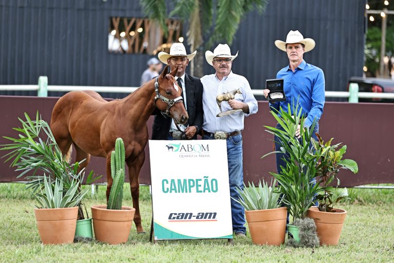 Jupiter Sacred faz história ao conquistar o Grande Campeonato de Conformação no Congresso ABQM
