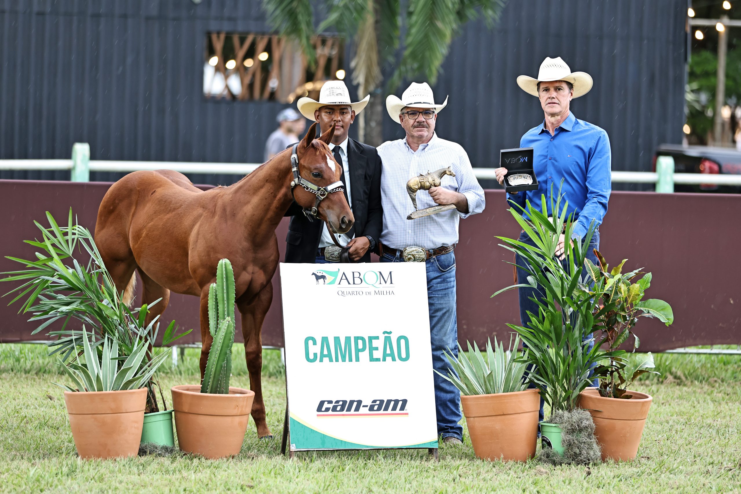 Jupiter Sacred faz história ao conquistar o Grande Campeonato de Conformação no Congresso ABQM