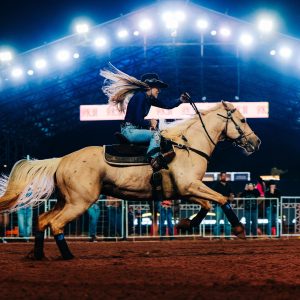 Ribeirão Rodeo Music 2026 terá mais de 350 competidores e R$ 180 mil em prêmios na arena