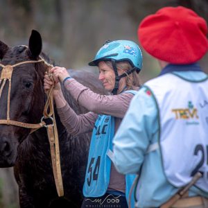Uso de capacete equestre passa a ser facultativo nas modalidades esportivas do Cavalo Crioulo