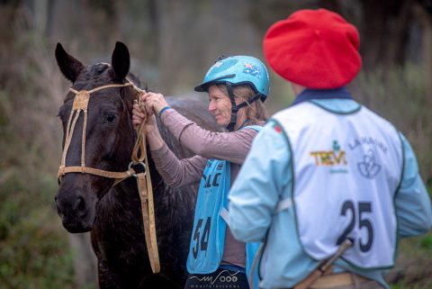 Uso de capacete equestre passa a ser facultativo nas modalidades esportivas do Cavalo Crioulo