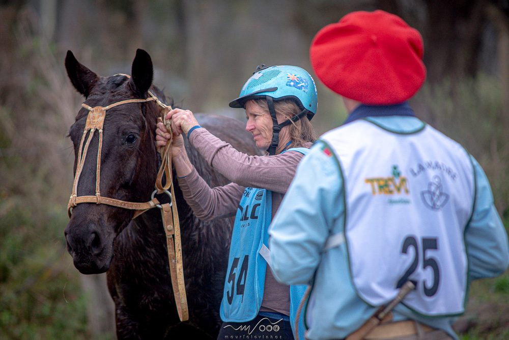Uso de capacete equestre passa a ser facultativo nas modalidades esportivas do Cavalo Crioulo