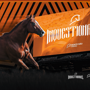 Vem aí: com garanhão Inquestionável em ascensão, Monte Sião Haras sinaliza novo projeto “Amigos do Reino”