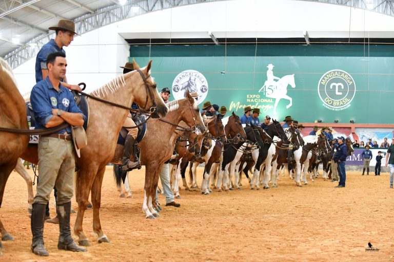 23ª Exposição Brasileira do Cavalo Mangalarga movimenta Itapetinga em maio